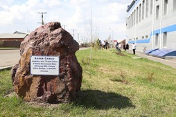 Посадка Аллеи Славы в селе Павловка Оренбургского района
