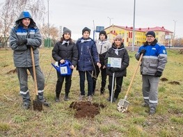 Одно из деревьев посажено в честь Евгения Александровича Дубровина