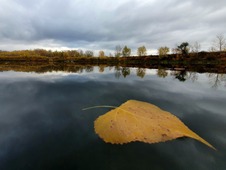 Владимир Николаев