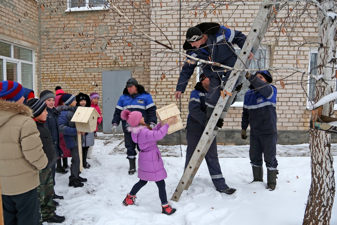 Птицам нужен домик круглый год