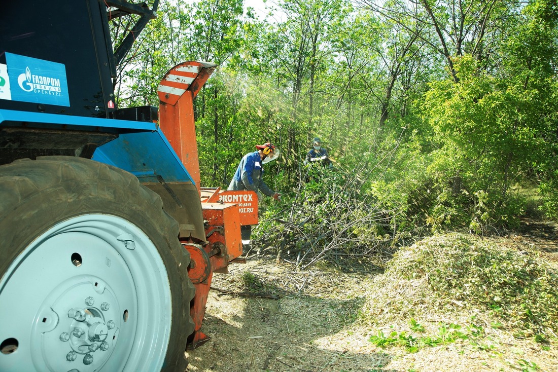 Сухие ветки перемалываются в щепу