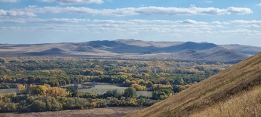 Светлана Белослудцева