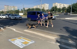 Предупреждающие надписи перед пешеходными переходами. 2021 год