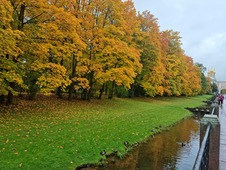 Светлана Гончарова