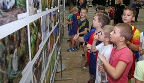 Кадры живой природы вызвали большой интерес у взрослых и юных посетителей выставки