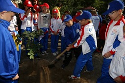 Традиция сажать деревья зародилась на фестивале 2009 года, за шесть лет территория лагеря стала зеленее на 113 деревьев