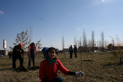 Посадка деревьев в Павловке